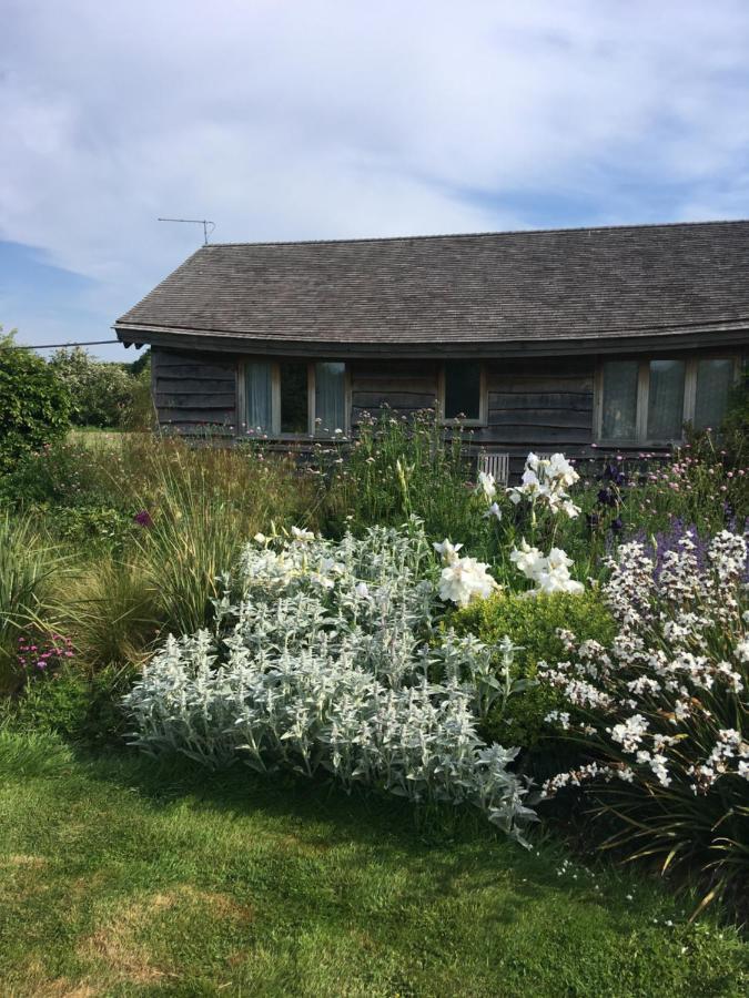 Three Oaks Nursery Чичестер Экстерьер фото